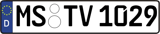 MS-TV1029