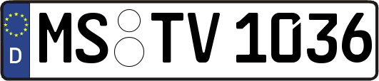 MS-TV1036