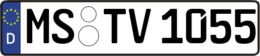 MS-TV1055