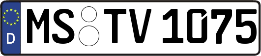 MS-TV1075