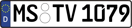 MS-TV1079