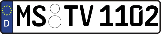 MS-TV1102