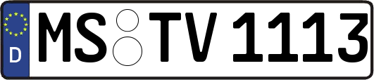MS-TV1113
