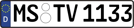 MS-TV1133