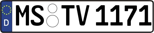 MS-TV1171