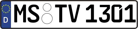 MS-TV1301