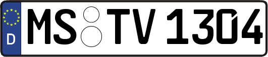 MS-TV1304