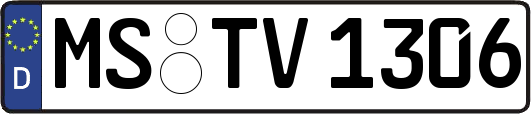 MS-TV1306