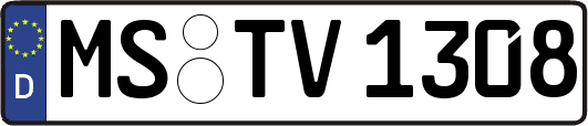 MS-TV1308