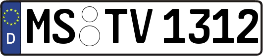MS-TV1312