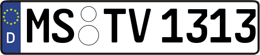 MS-TV1313