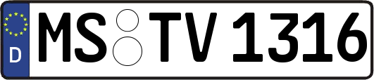 MS-TV1316