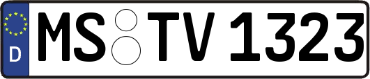 MS-TV1323