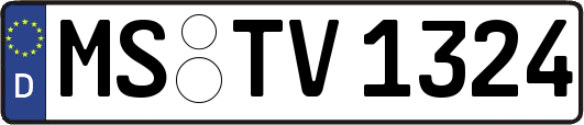 MS-TV1324