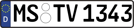MS-TV1343