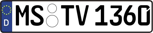 MS-TV1360