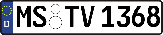 MS-TV1368