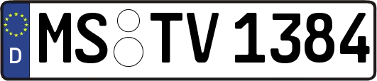 MS-TV1384