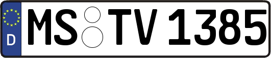 MS-TV1385