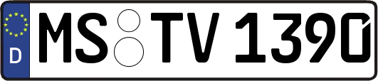 MS-TV1390