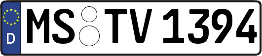 MS-TV1394
