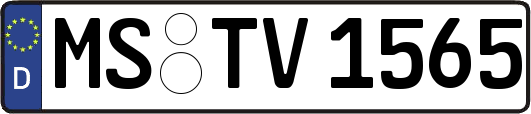 MS-TV1565