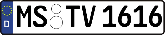 MS-TV1616