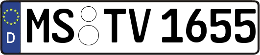 MS-TV1655