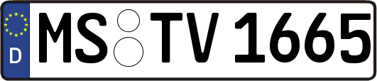 MS-TV1665