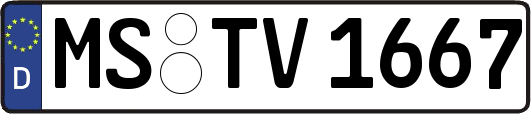 MS-TV1667