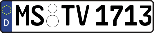 MS-TV1713