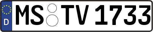 MS-TV1733