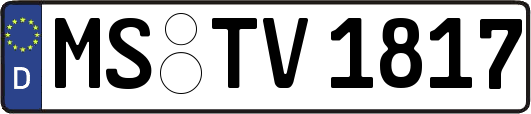 MS-TV1817