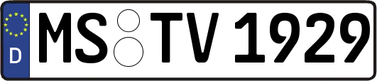 MS-TV1929