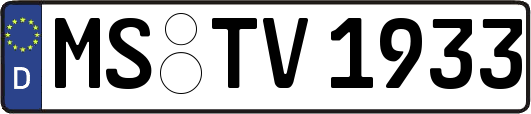 MS-TV1933