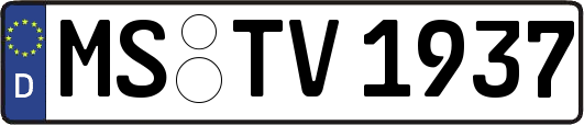 MS-TV1937