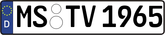 MS-TV1965