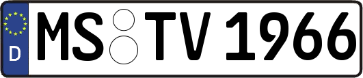 MS-TV1966