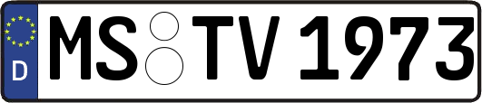 MS-TV1973