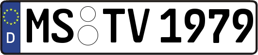 MS-TV1979