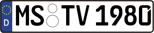MS-TV1980