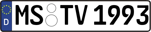 MS-TV1993