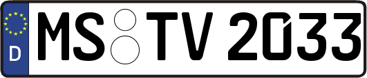 MS-TV2033