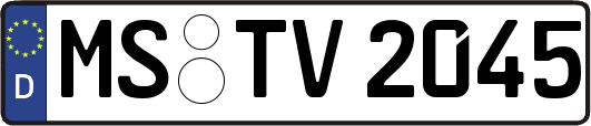 MS-TV2045