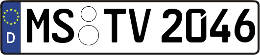 MS-TV2046