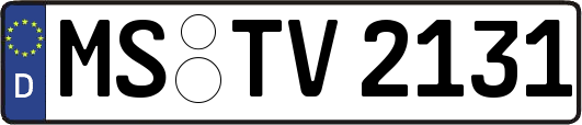 MS-TV2131