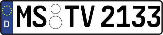 MS-TV2133