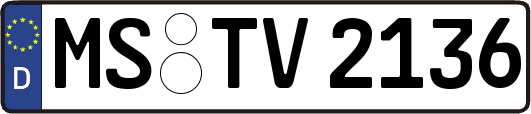 MS-TV2136