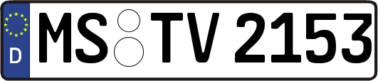 MS-TV2153