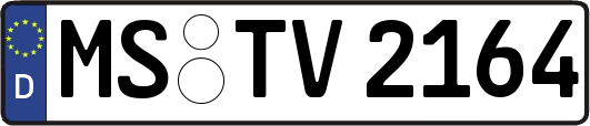MS-TV2164